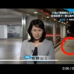 沈没する民進党の本部からネズミが逃げ出す動画!爆笑注意!!